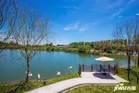 碧桂园莫奈的湖实景图图片