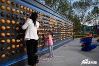 碧桂园云河park实景图图片