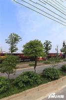 森科尚城实景图图片