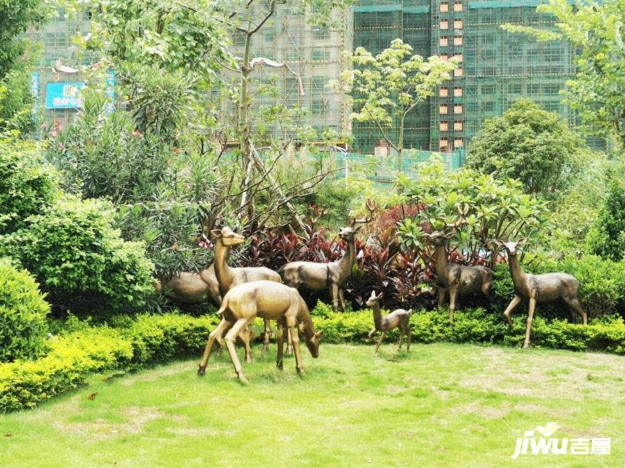 金港茗苑实景图图片