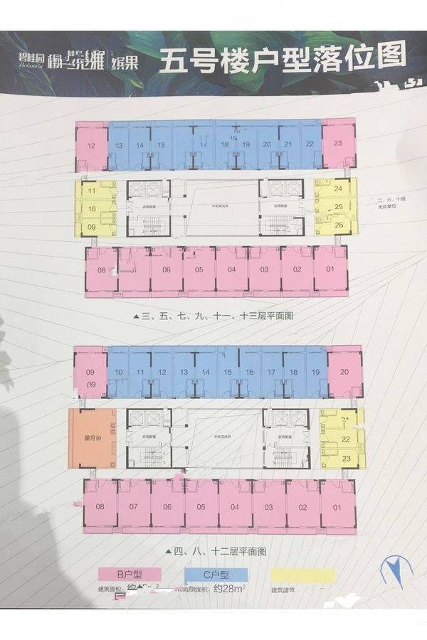 碧桂园柏坦尼雅规划图图片