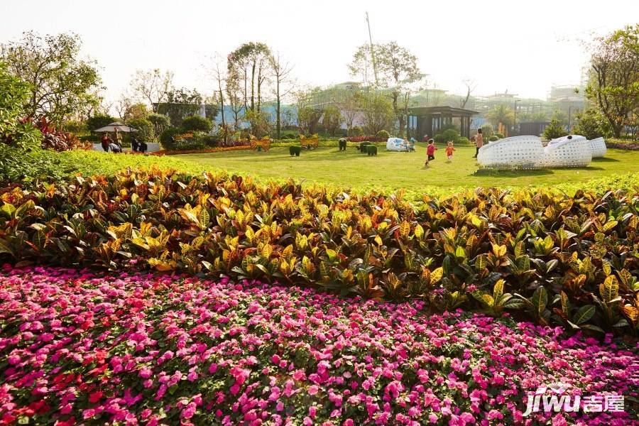 远洋繁花里实景图图片