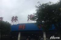 盛丰国际配套图图片