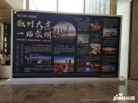 新滨湖孔雀城实景图图片