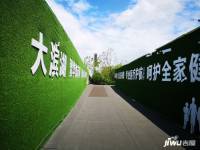 新滨湖孔雀城实景图图片