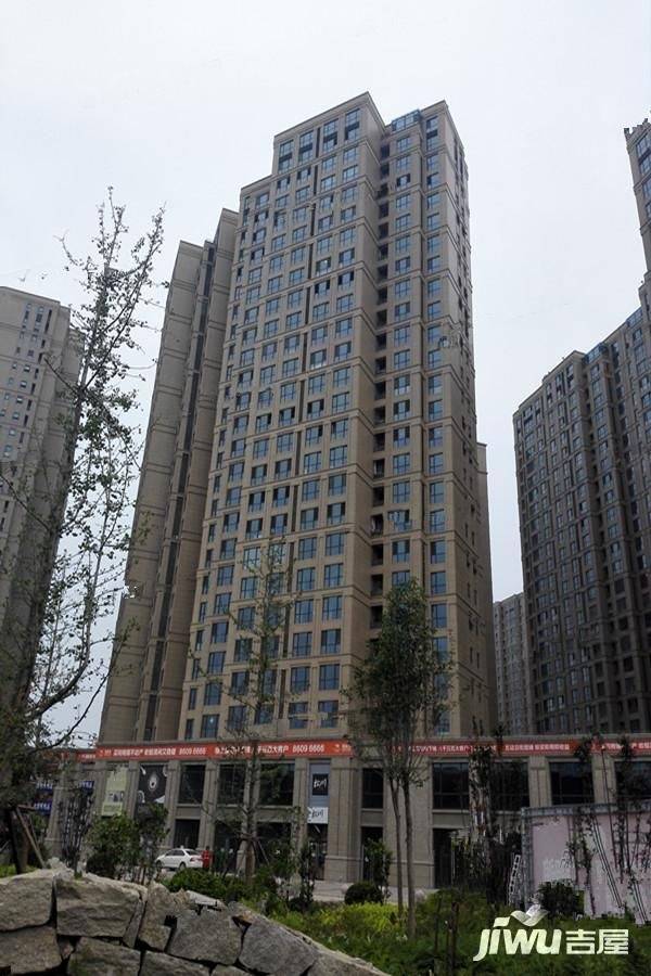 林荫大院实景图图片