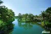 碧桂园东海岸实景图图片