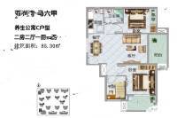 博鳌亚洲湾2室2厅1卫85.3㎡户型图