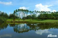 佳龙美墅湖文化旅游城阳光绿景实景图图片
