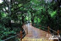 佳龙美墅湖文化旅游城阳光绿景配套图图片