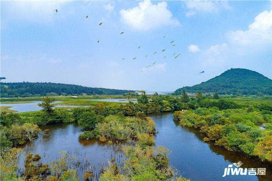 鲁能山海天泰山7号