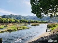 亭湖度假村实景图图片