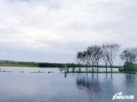 卓越蔚蓝海岸实景图图片