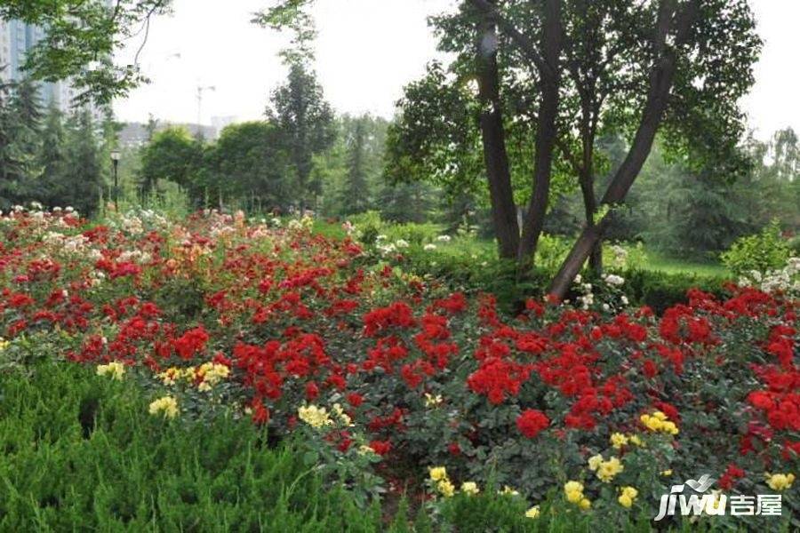 西港国际花园商铺实景图图片