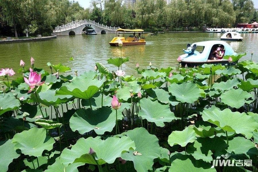 宏府鹍翔九天商铺配套图图片