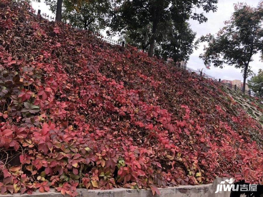 航天城中心广场配套图图片