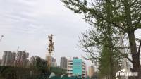 碧桂园双湖城实景图图片