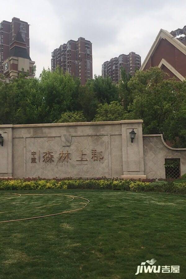 中建森林上郡实景图图片