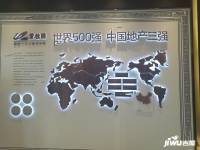 国控碧桂园天澜实景图9