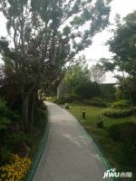 碧桂园中央公园实景图图片