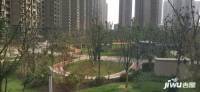 华南城中园实景图图片