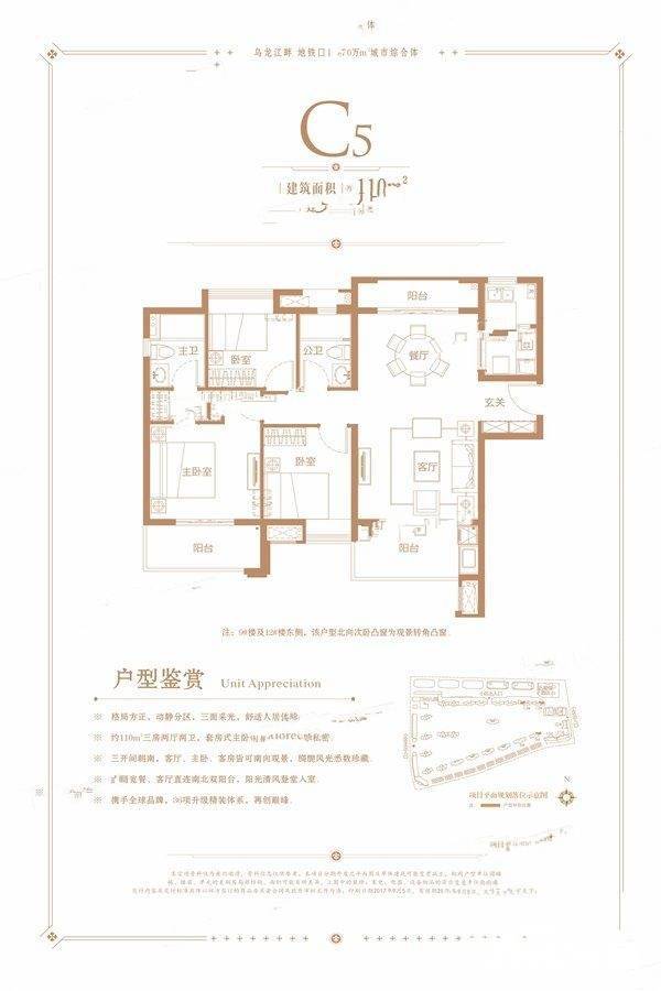 中海寰宇天下110平米c5户型图