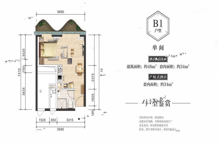 三亚恒大美丽之冠1室1厅1卫48㎡户型图