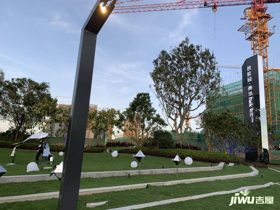 碧桂园澳邻PARK实景图图片