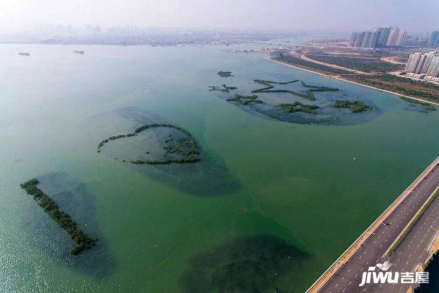 保利叁仟栋壹海里实景图图片