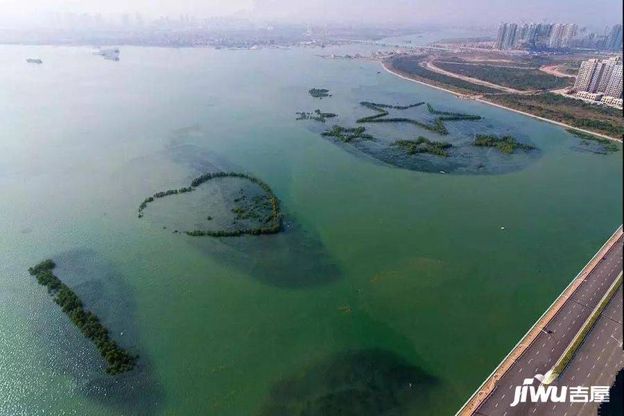 保利叁仟栋壹海里配套图图片