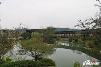 禾田居湖上院子实景图图片