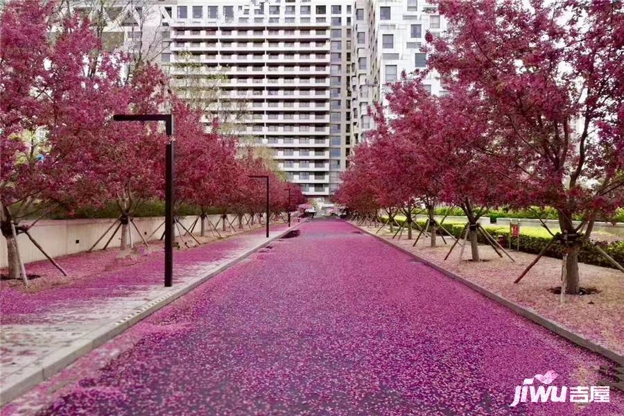 海碧台实景图图片