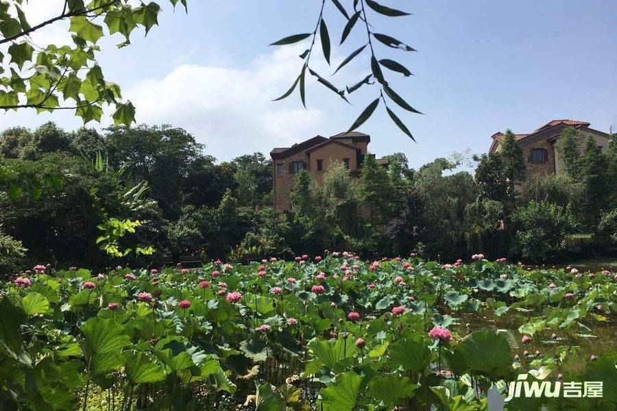 龙盘湖龙岛壹号实景图图片