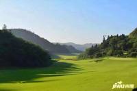 龙盘湖龙岛壹号实景图图片