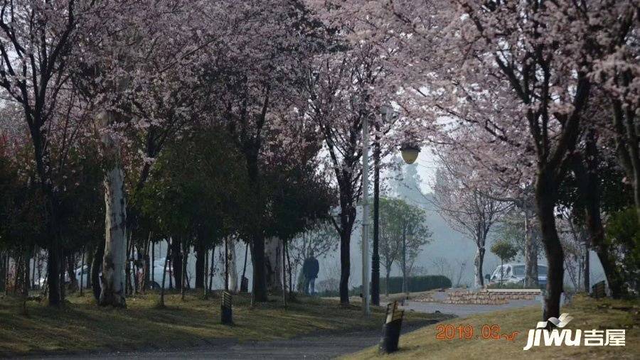 龙盘湖龙岛壹号实景图图片