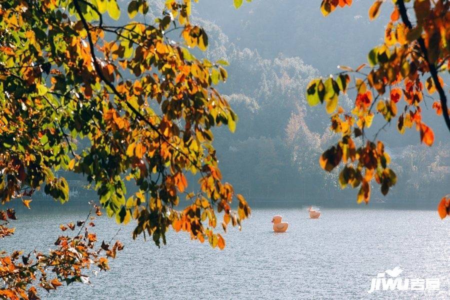 合一山居实景图图片