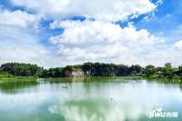 益丽龙湖实景图图片