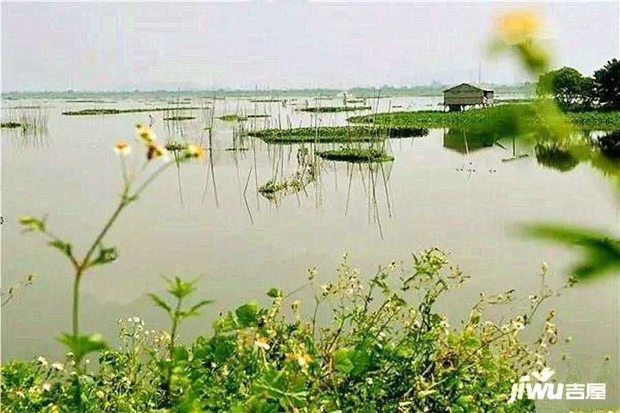 玖龙台配套图图片