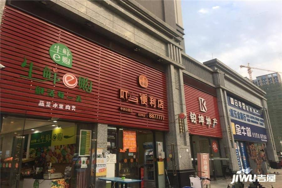 隆生金山湖中心配套图图片