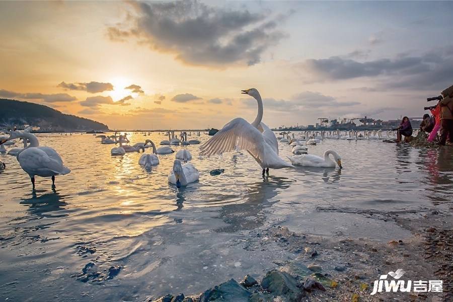 威海春风海岸配套图图片