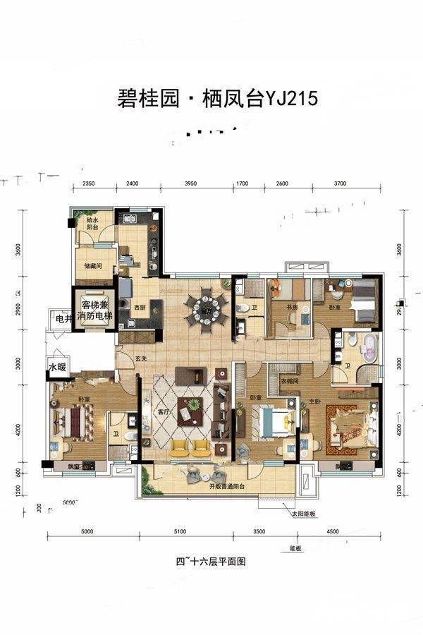 碧桂园栖凤台5室2厅3卫215㎡户型图