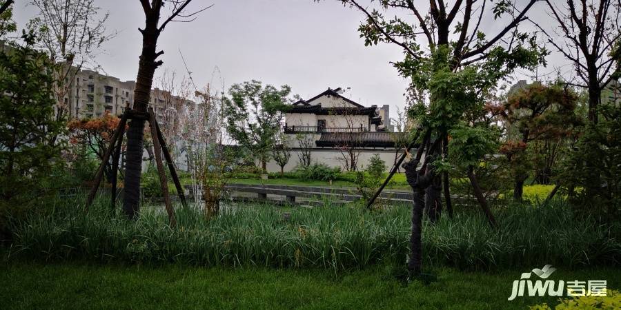 天山国宾壹號实景图图片