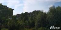 银川绿地城实景图图片