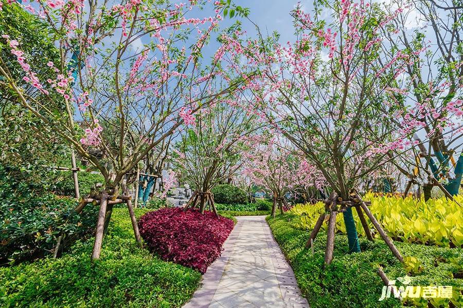 恒大溪上桃花源实景图图片