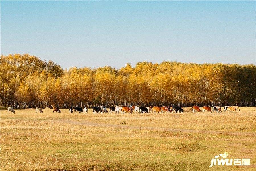 荣盛农旅小别列庄园配套图图片