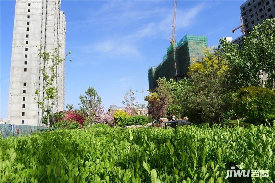 京北中央公园实景图图片