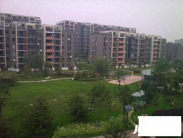 碧海方舟公寓实景图图片