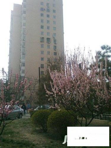 磨房北里实景图图片
