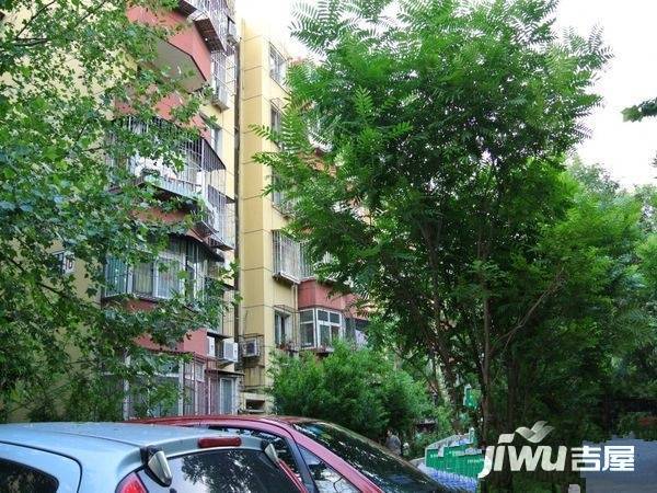 马连洼菊园实景图图片