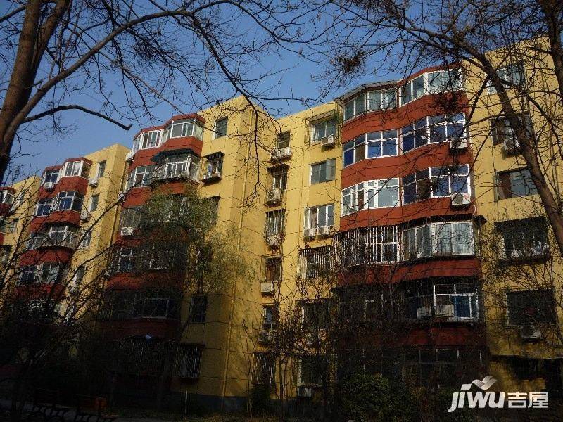 马连洼菊园实景图图片